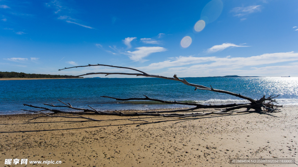 海滩海岸