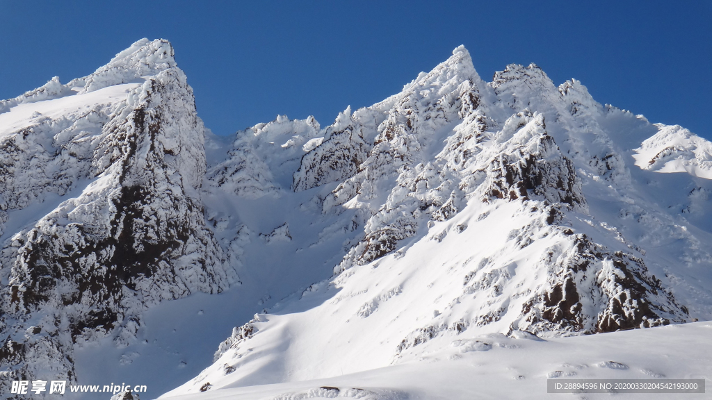 高山白雪新西兰