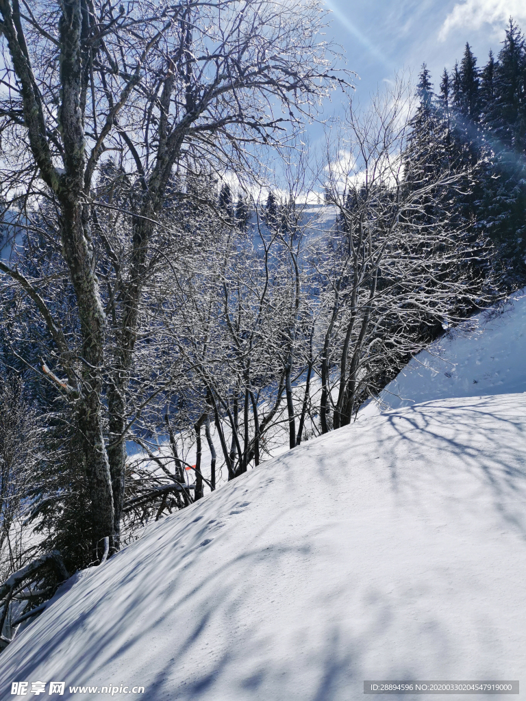 雪