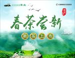 春茶  新鲜  清明前后  海