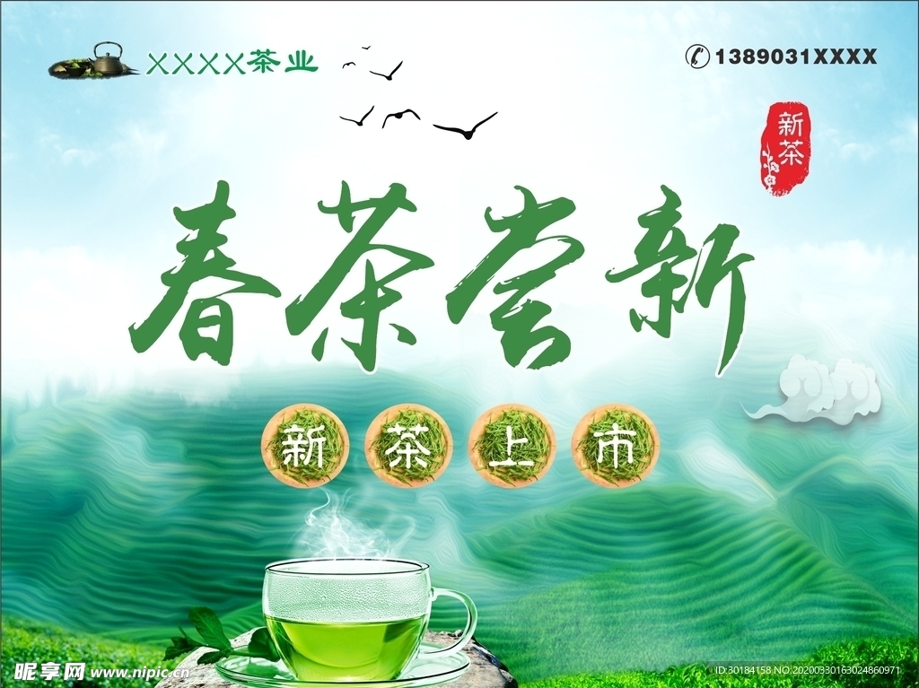 春茶  新鲜  清明前后  海