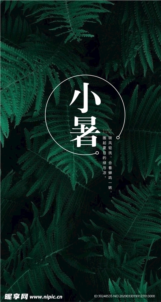 小暑