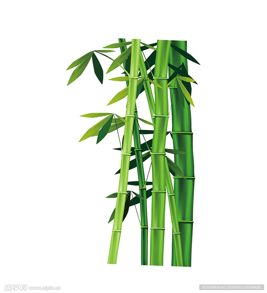 绿色背景