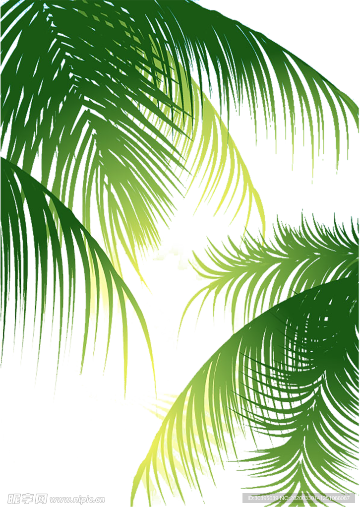 绿色背景