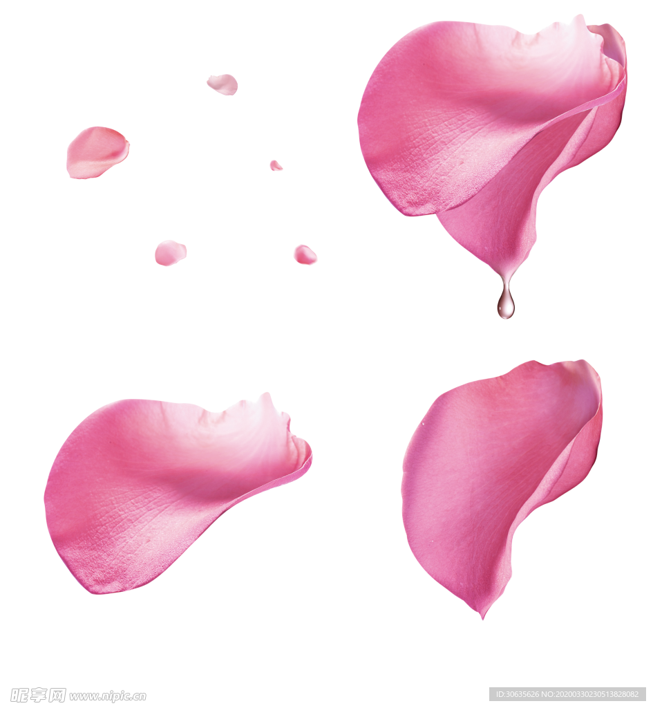 花瓣