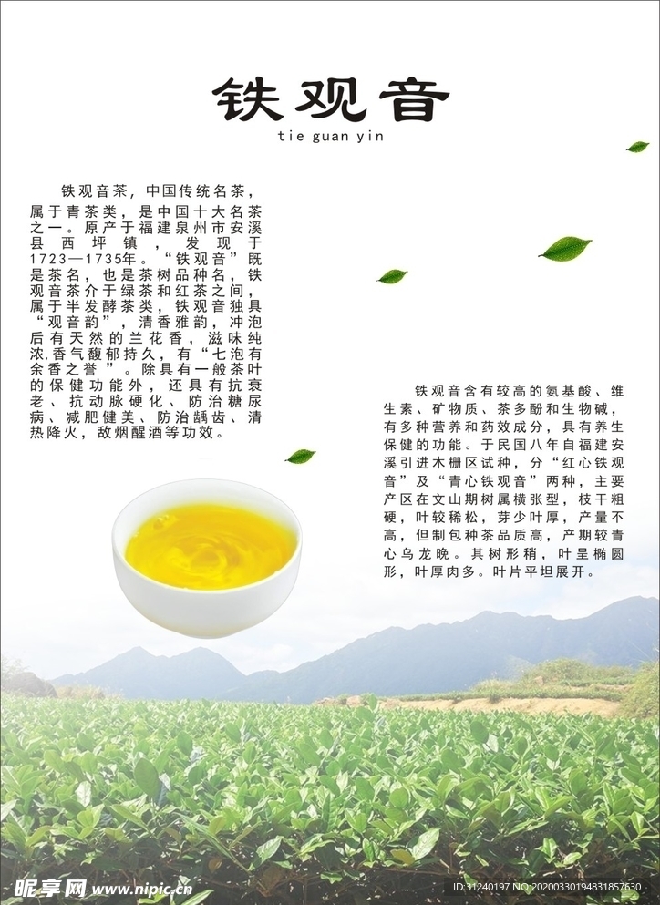 铁观音海报