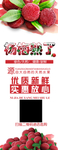 杨梅