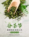 春茶