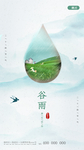 春茶