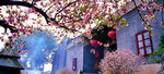 梅庵寺