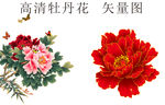 牡丹