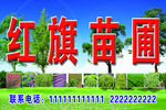 苗圃