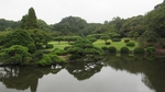 唯美风景