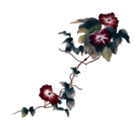 中国古风传统花鸟图案