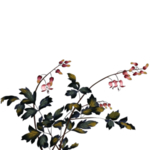 中国古风传统花鸟图案