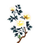 中国古风传统花鸟图案