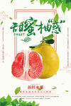 甜蜜柚子海报