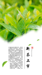 茶引导页APP设计