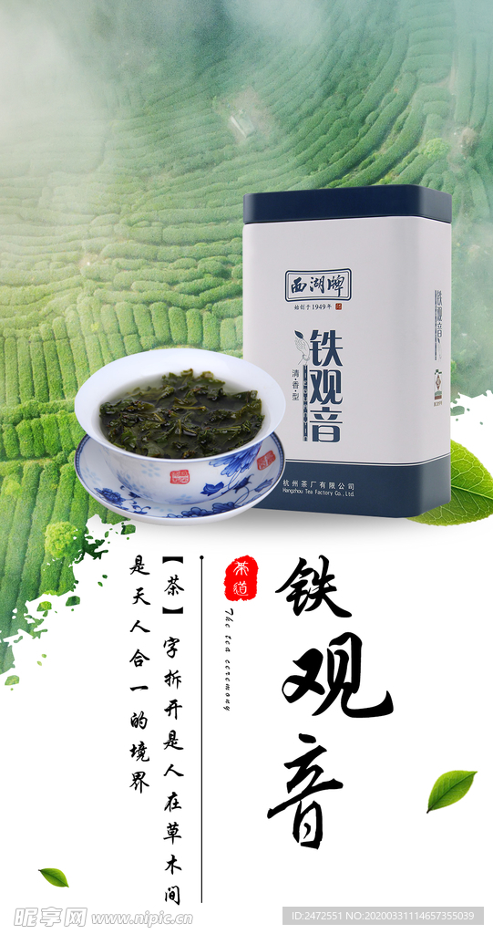 茶引导页