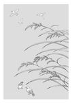 线描稻穗