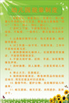 幼儿园规章制度