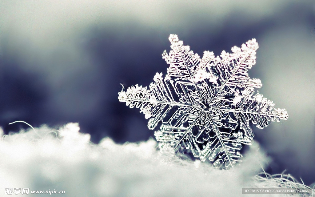 雪花冰花冰霜窗花图片