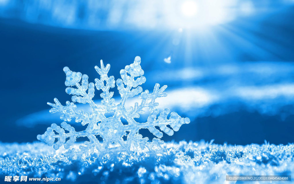 雪花冰花冰霜窗花图片