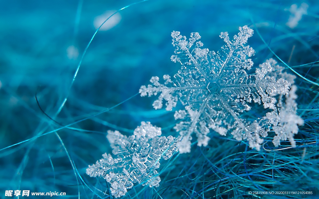 雪花冰花冰霜窗花图片