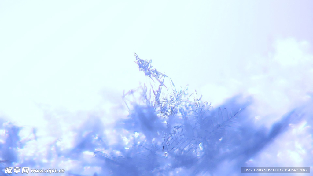 雪花冰花冰霜窗花图片