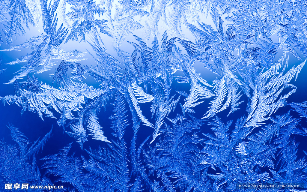 雪花冰花冰霜窗花图片