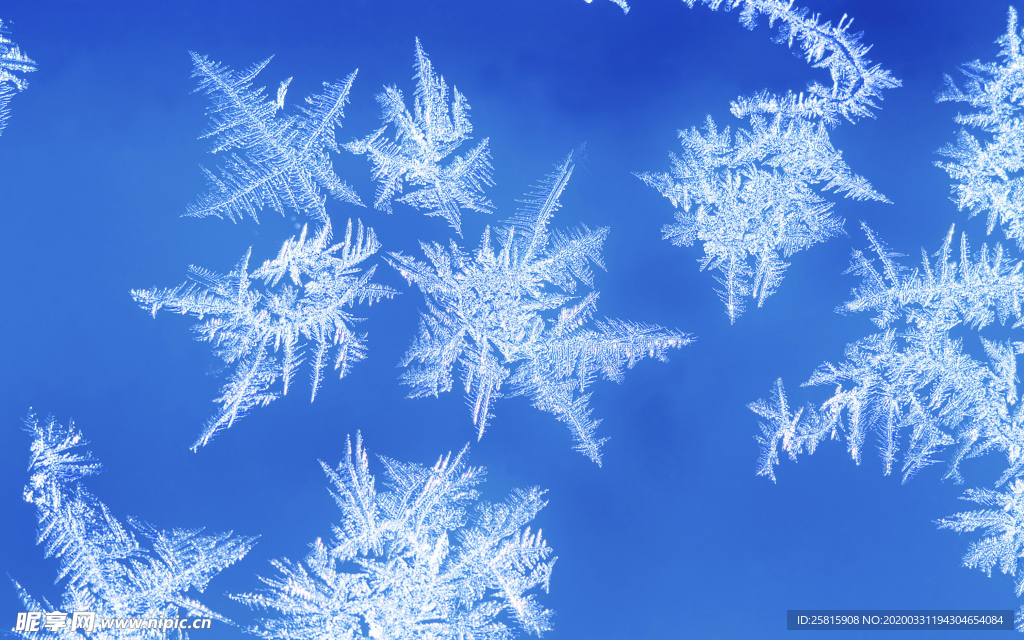 雪花冰花冰霜窗花图片