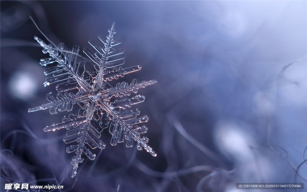 雪花冰花冰霜窗花图片