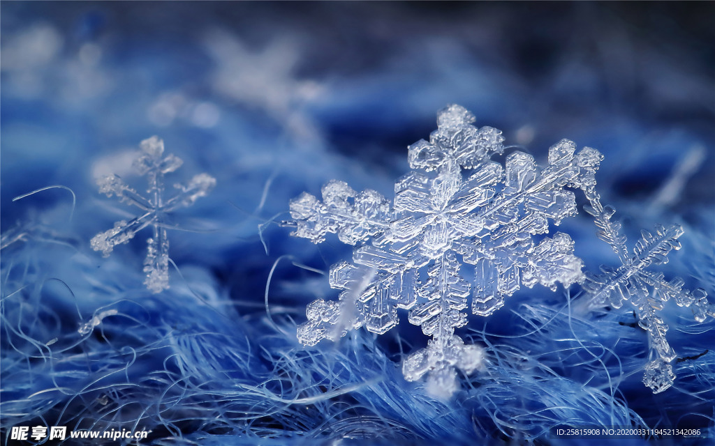 雪花冰花冰霜窗花图片