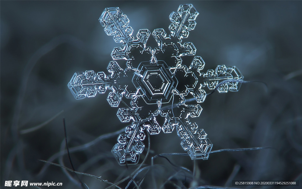 雪花冰花冰霜窗花图片