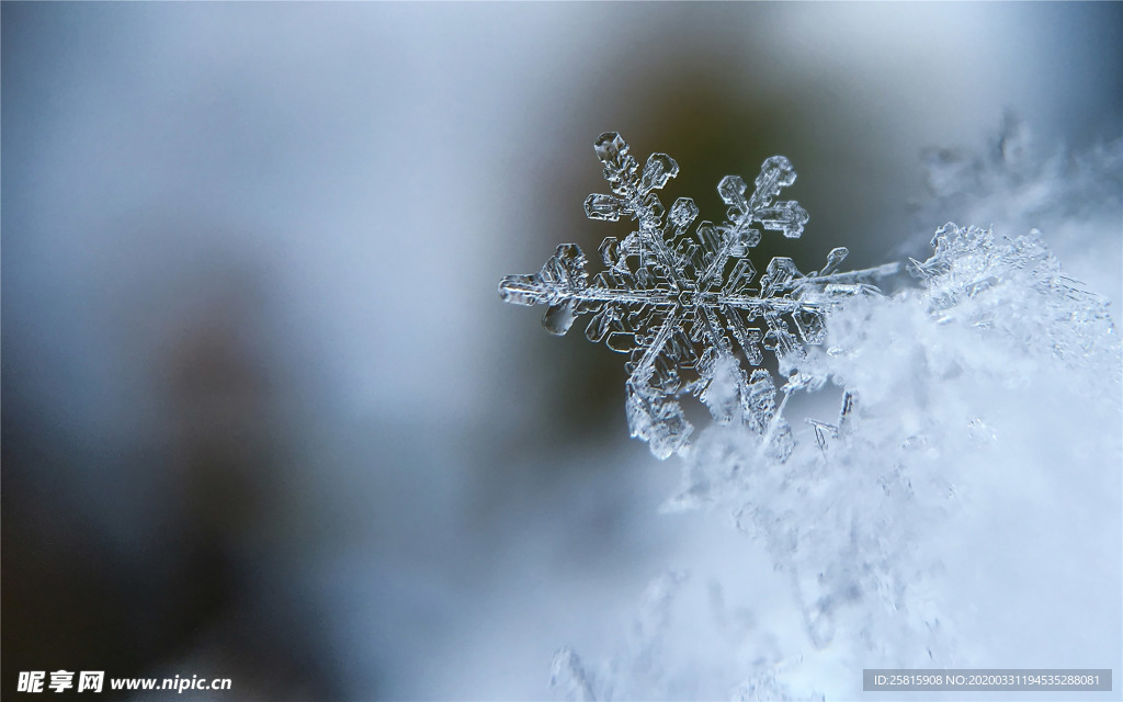 雪花冰花冰霜窗花图片