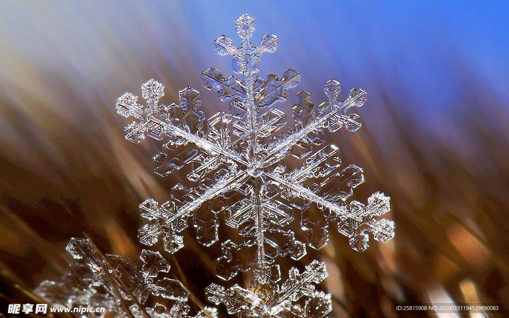 雪花冰花冰霜窗花图片