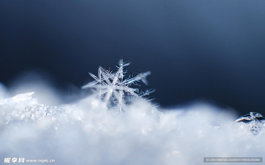 雪花冰花冰霜窗花图片