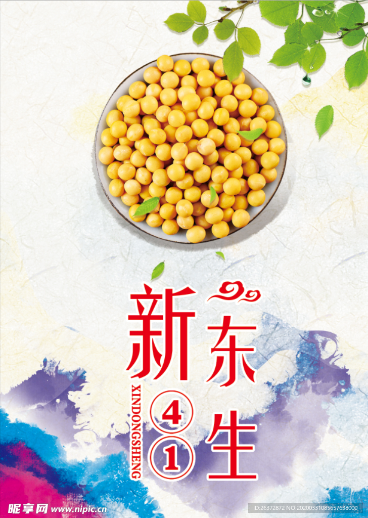 新东生41