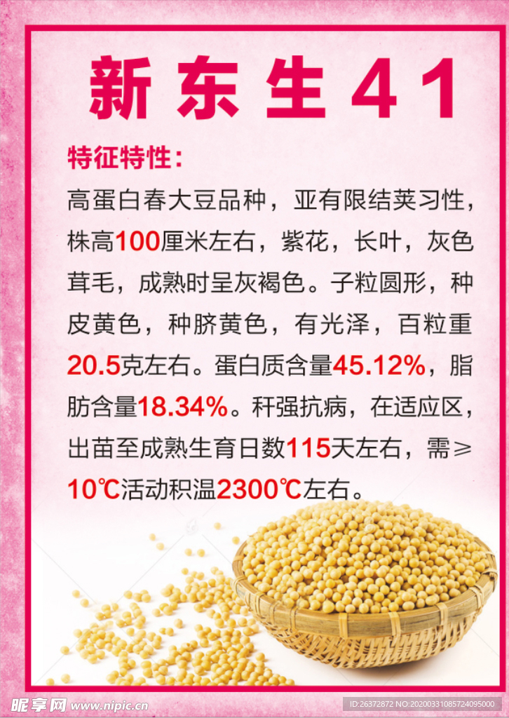 新东生41