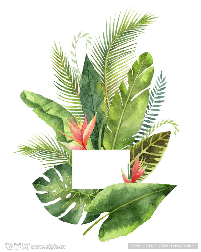 手绘植物