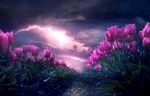 鲜花