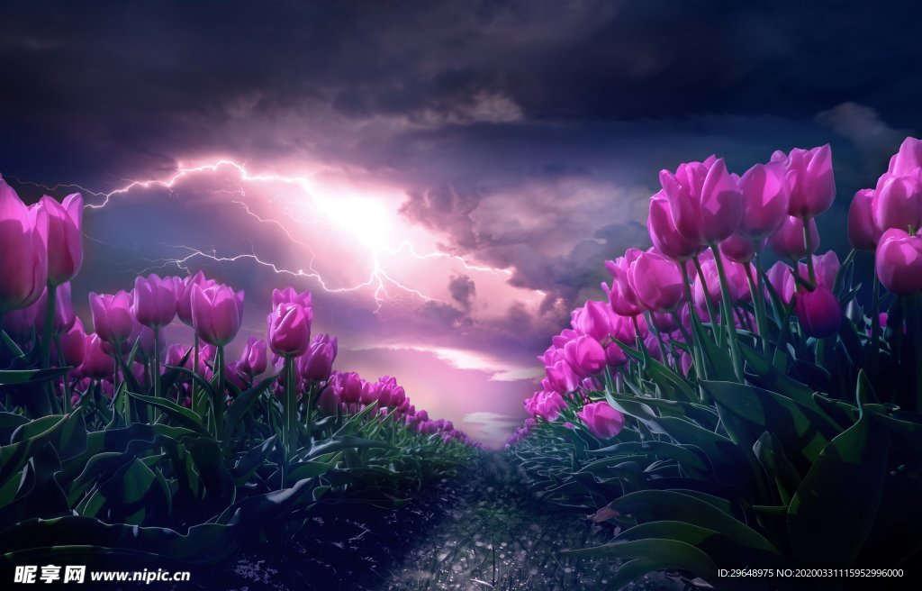 鲜花