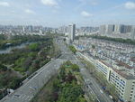城市