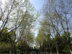 公园
