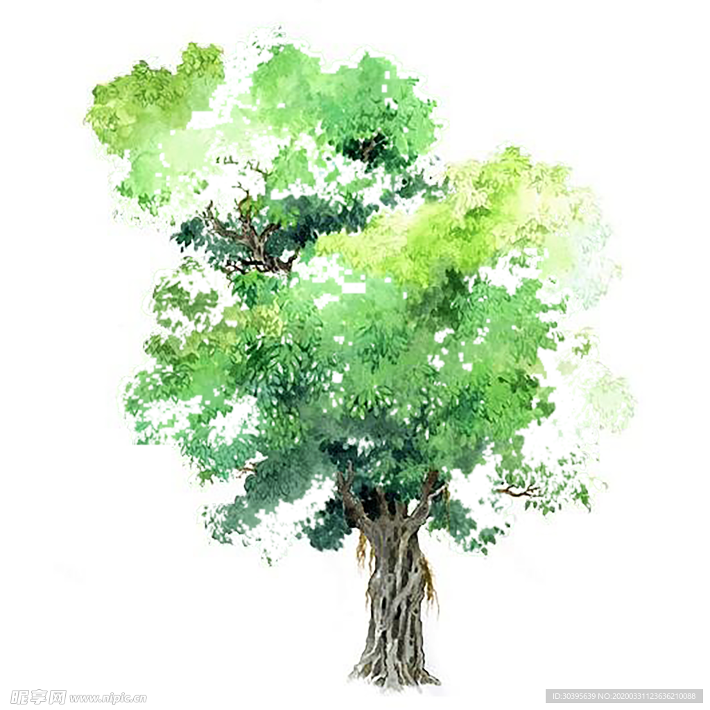 绿色背景