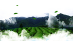 茶山