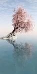 现代装饰画