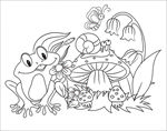 动物线描画