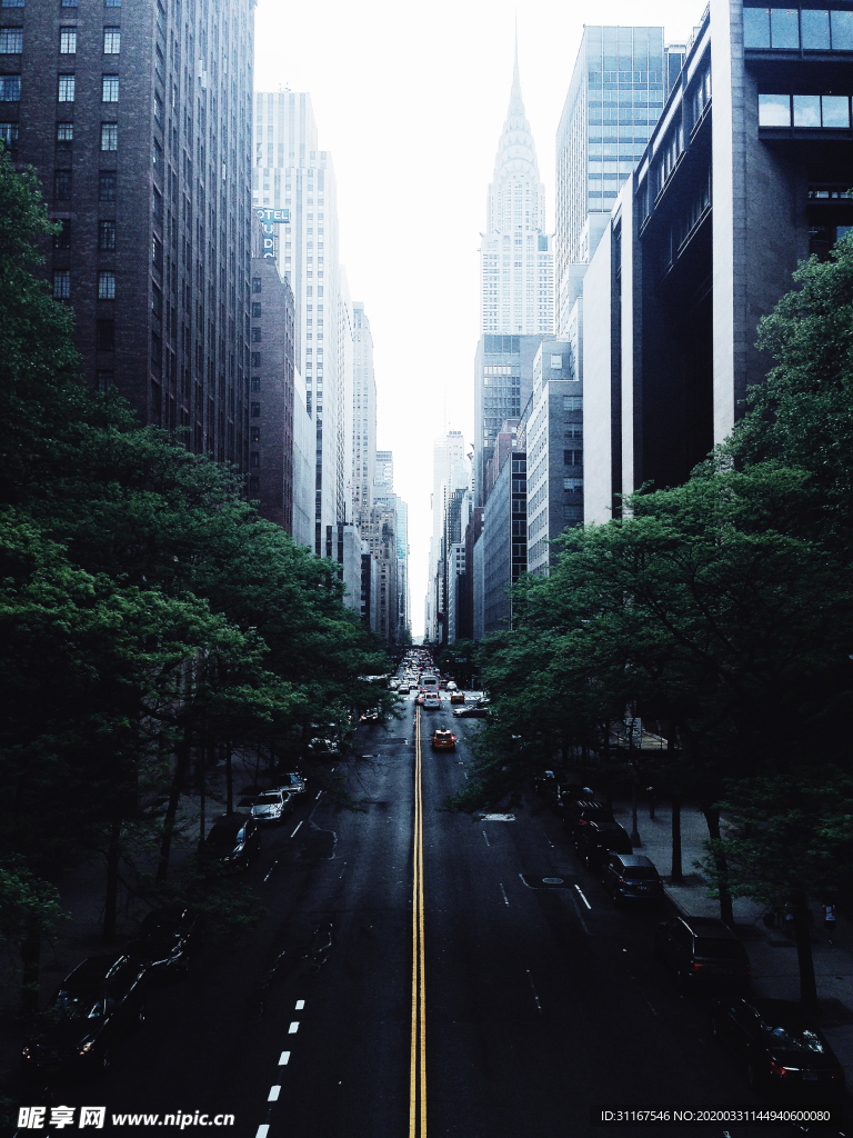 城市