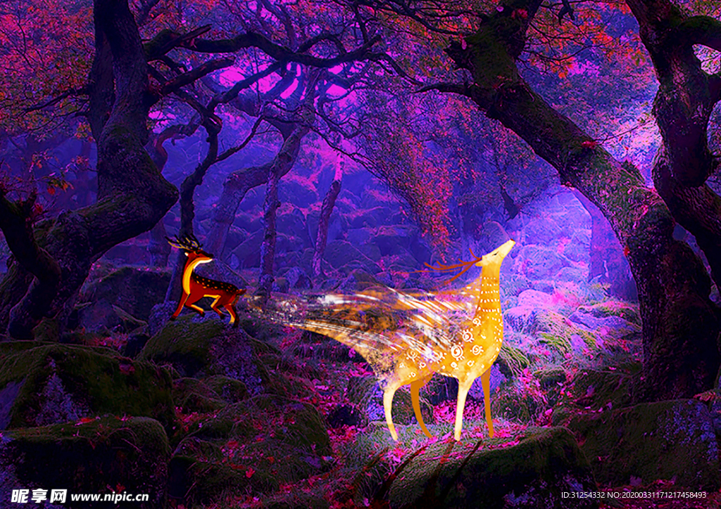 奇幻森林